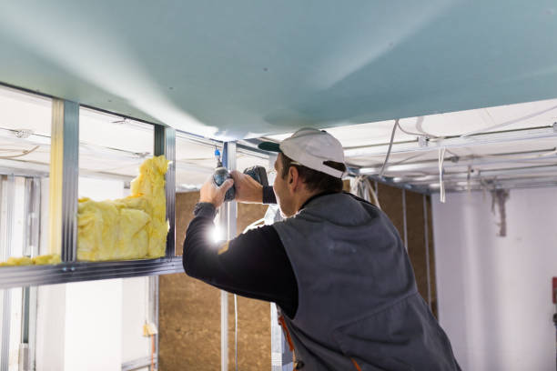 Best Radiant Barrier Insulation  in Gardner, KS