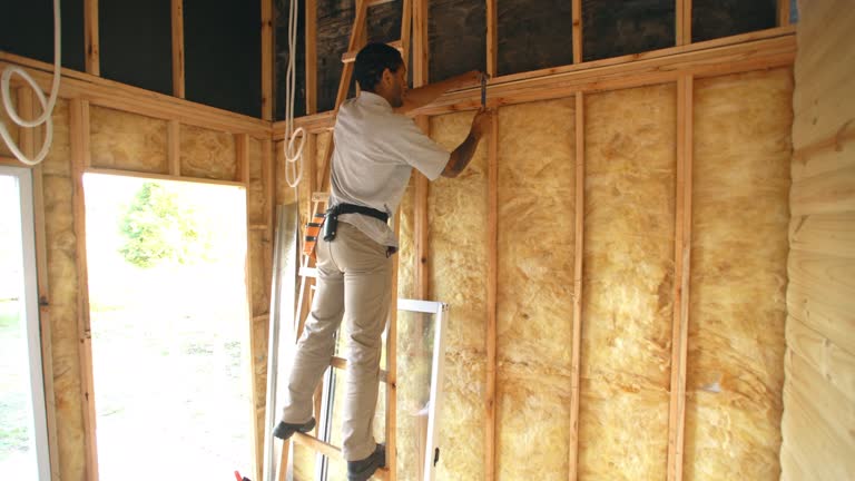 Best Soundproof Insulation  in Gardner, KS