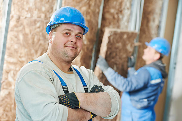 Best Attic Insulation Installation  in Gardner, KS